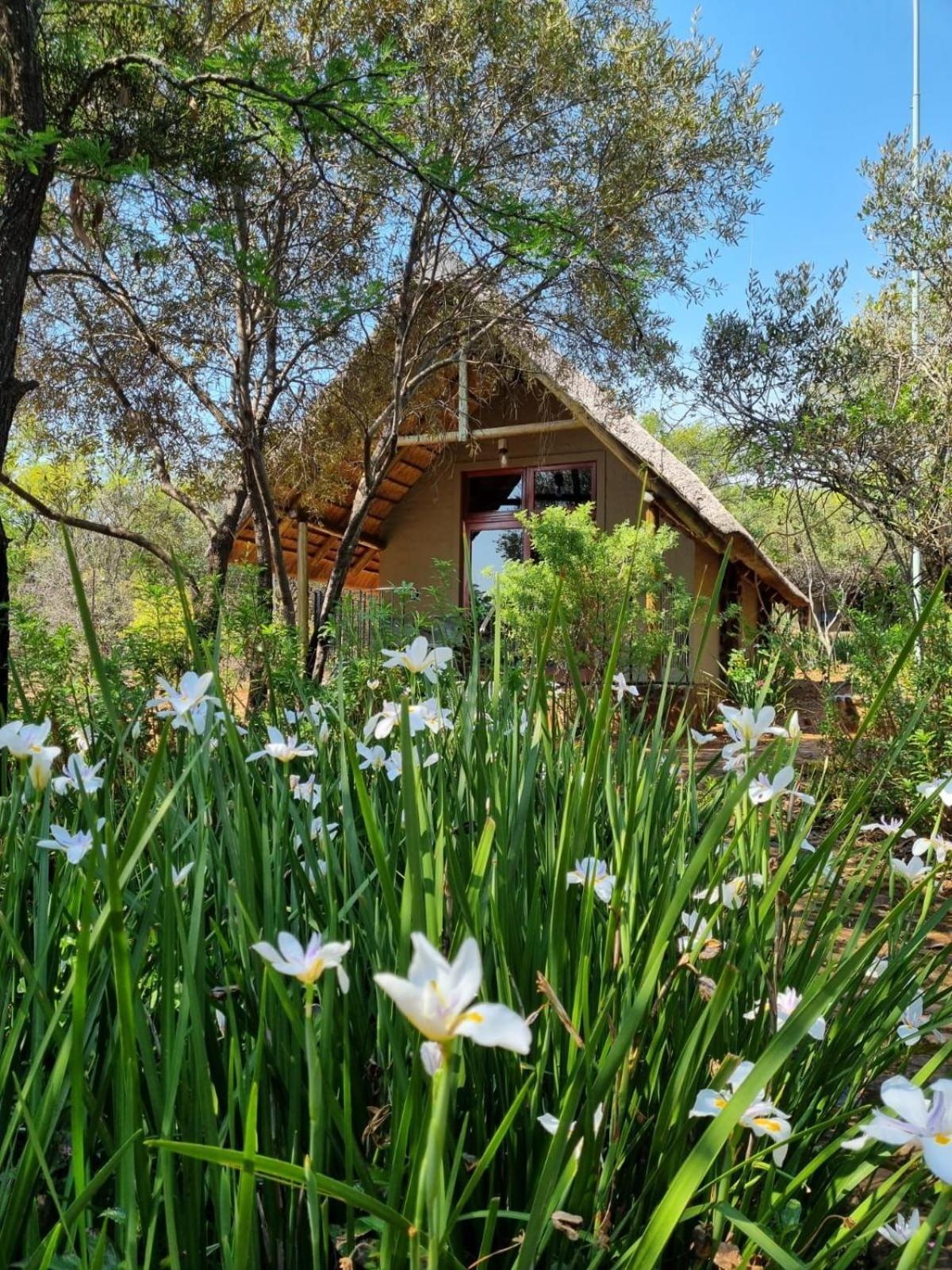 Tidimalo Lodge Рустенбург Екстериор снимка